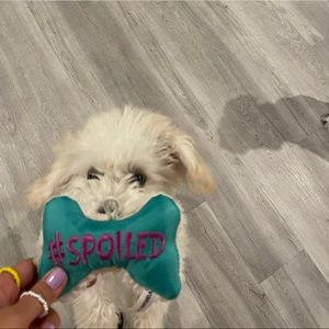 Meet your Posher, Bea